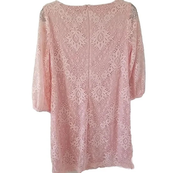 CHAPS Womens Size 12 Petite LIGHT PINK LACE Overlay 3/4 Sleeves Zip Lined Swifty - Picture 2 of 9